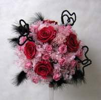 �v���U�[�u�h�t�����[�@����@���E���h�u�[�P