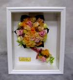 ����@�u�[�P�@���A�����W�@