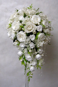 ����u�[�P�@�H�^�@�V�����[�u�[�P