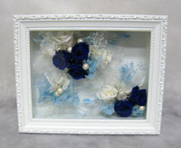 ����p�M�t�g�@�t���[���A�����W�����g�@�v���U�[�u�h�t�����[