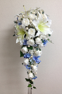 �J�T�u�����J�@�L���X�P�[�h�u�[�P�@�V���N�t�����[