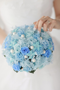 ����u�[�P�@�Q����p�@�v���U�[�u�h�t�����[