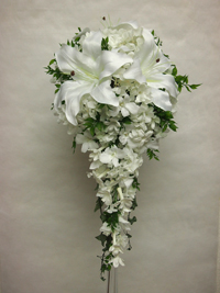 ����@�V���N�t�����[�@�L���X�P�[�h�u�[�P