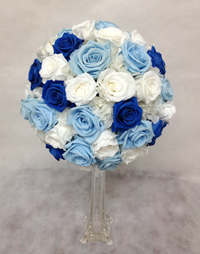 ����u�[�P�@�v���U�[�u�h�t�����[�@���E���h�@�T���V���O�u���[