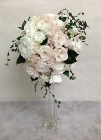 �v���U�[�u�h�t�����[�@����u�[�P�@�o��