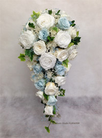 �v���U�[�u�h�t�����[�@����@�L���X�P�[�h�u�[�P