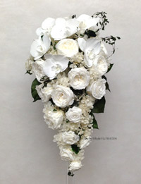 �v���U�[�u�h�t�����[�@����@�L���X�P�[�h�u�[�P�@�Ӓ���