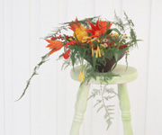 �G�߂̃t�����[�A�����W�����g