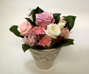 �v���U�[�u�h�t�����[�̃A�����W�����g