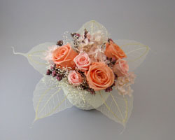 �v���U�[�u�h�t�����[�̃A�����W�����g