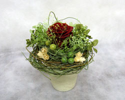 �v���U�[�u�h�t�����[�̃A�����W�����g