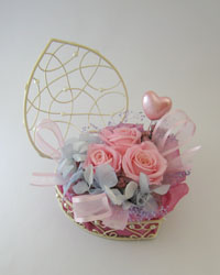 �v���U�[�u�h�t�����[�̃o�����^�C���A�����W�����g