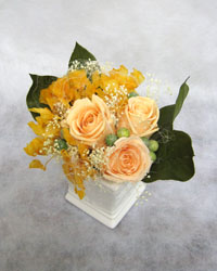 �v���U�[�u�h�t�����[�̃A�����W�����g