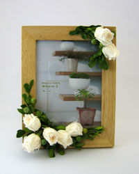 �v���U�[�u�h�t�����[�̃t�H�g�t���[��