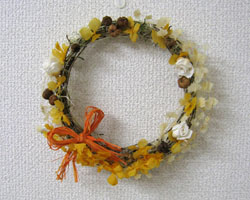 �v���U�[�u�h�t�����[�̃��[�X