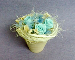 �v���U�[�u�h�t�����[�̃A�����W�����g