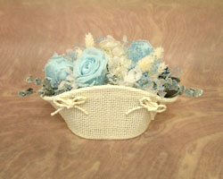 �v���U�[�u�h�t�����[�̃A�����W�����g