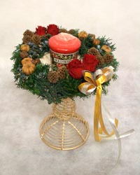 �v���U�[�u�h�t�����[�̃L�����h���X�^���h