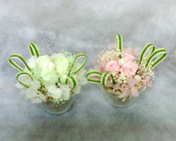 �v���U�[�u�h�t�����[�̃v�e�B�M�t�g