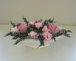 �v���U�[�u�h�t�����[�̃A�����W�����g