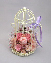 �v���U�[�u�h�t�����[�̃M�t�g�A�����W�����g