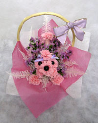 �v���U�[�u�h�t�����[�̃J�[�l�[�V�����v�[�h��