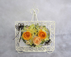 �v���U�[�u�h�t�����[�̃A�����W�����g