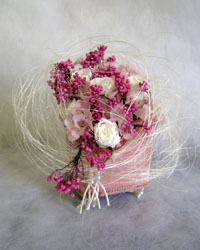 �v���U�[�u�h�t�����[�̃A�����W�����g