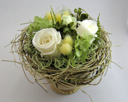 �v���U�[�u�h�t�����[�̃A�����W�����g