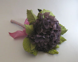 �v���U�[�u�h�t�����[�̉ԑ�