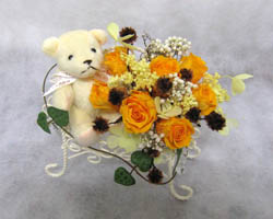 �v���U�[�u�h�t�����[�̃A�����W�����g