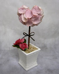 �v���U�[�u�h�t�����[�̃n�[�g�g�s�A���[