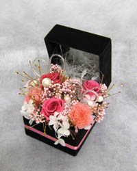 �v���U�[�u�h�t�����[�̃A�����W�����g