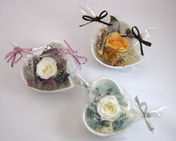 �v���U�[�u�h�t�����[�̃A�����W�����g�M�t�g