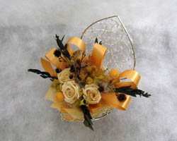 �v���U�[�u�h�t�����[�̃A�����W�����g�M�t�g