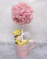 �v���U�[�u�h�t�����[�̃A�����W�����g�M�t�g