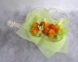 �v���U�[�u�h�t�����[�̃A�����W�����g�M�t�g