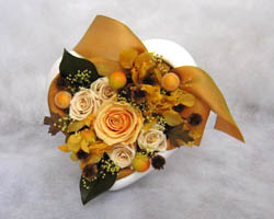 ��̓��̃v���U�[�u�h�t�����[�M�t�g