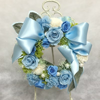 �m�e�c�v���U�O�Ԃǃt�����[�f�B�v���}�R�[�X