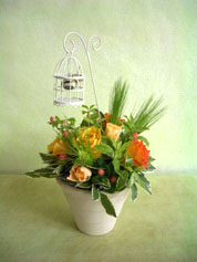 �G�߂̃t�����[�A�����W�����g