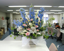 �t���b�V���t�����[�̃A�����W�����g